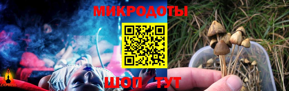 Галлюциногенные грибы GOLDEN TEACHER  Вход с VPN  Красноармейск  даркнет сайт  Галлюциногенные грибы прущие грибы 